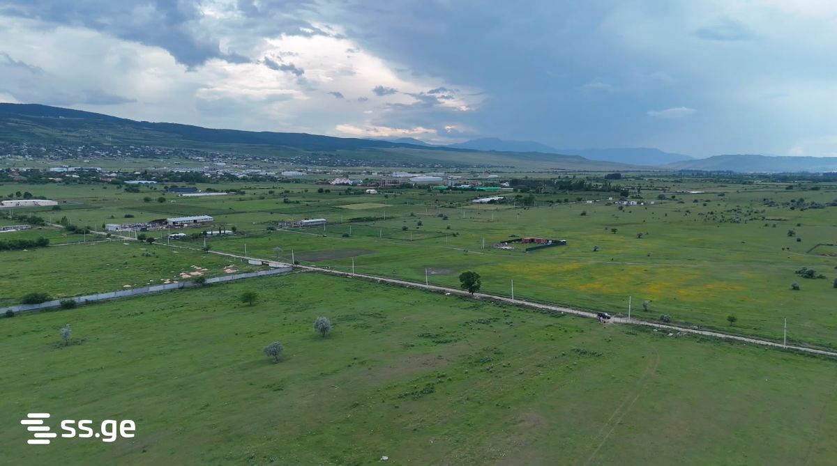 Land For Sale. Tserovani view 10