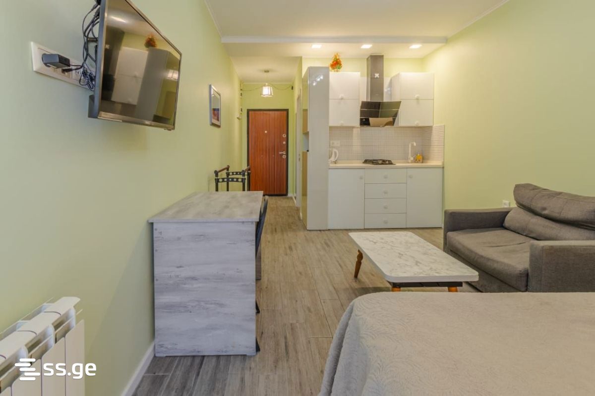 1 Room Flat For Rent. Batumi view 10