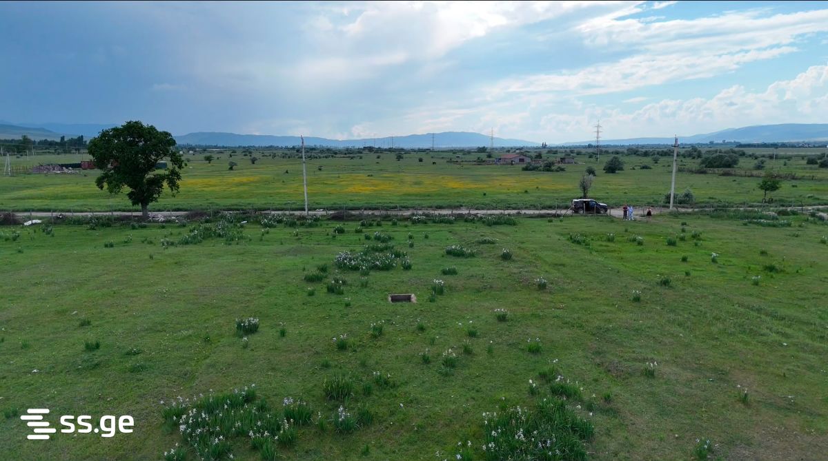 Land For Sale. Tserovani view 3