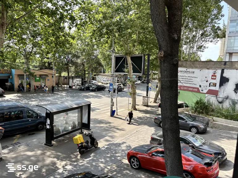 Commercial Space For Rent. Nadzaladevi view 13