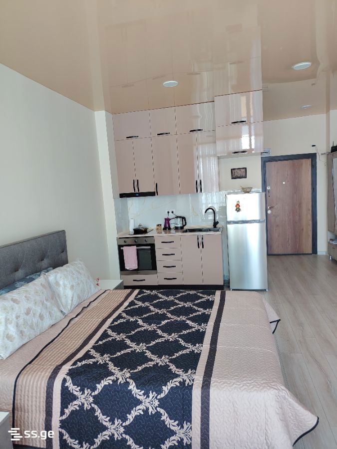 1 Room Flat For Rent. Makhindjauri view 2