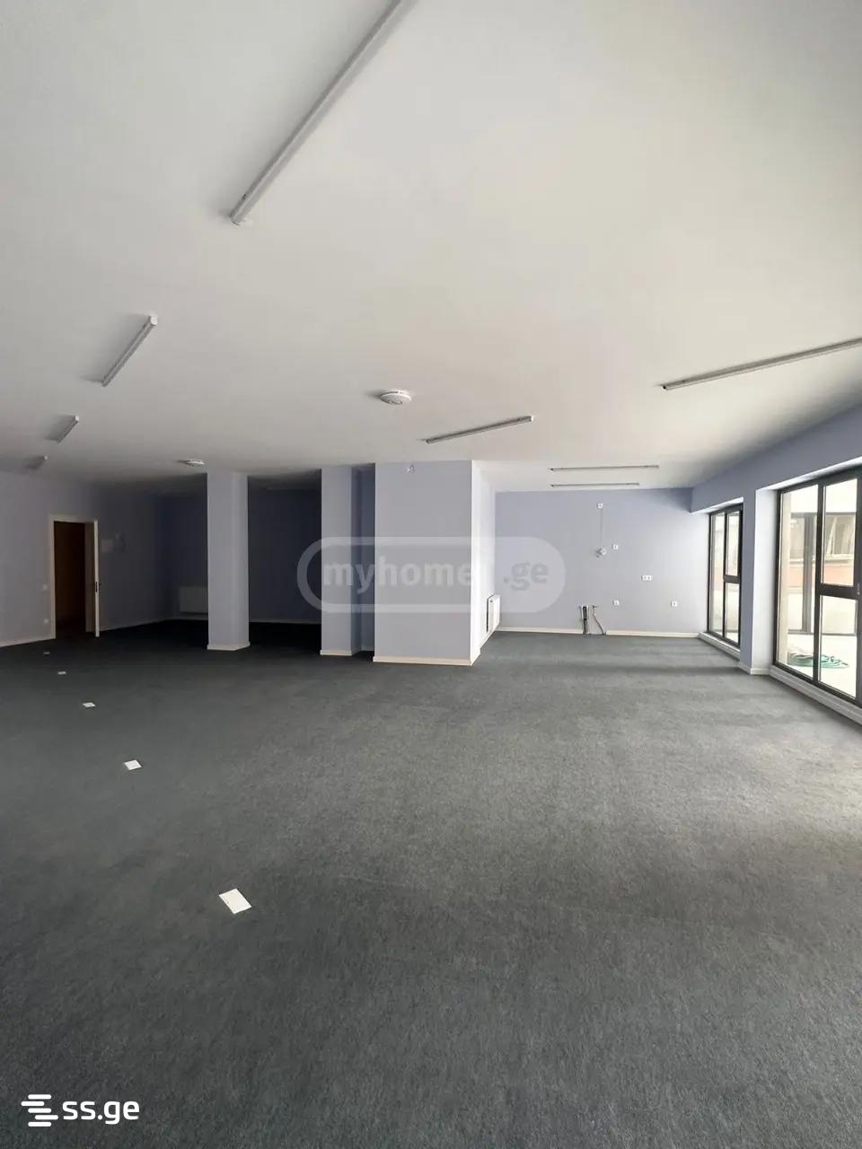 Commercial Space For Rent. Nadzaladevi view 8