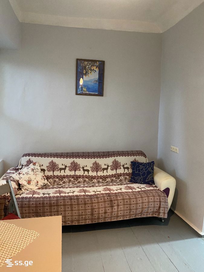 3 Room Private House Daily Rent. Batumi view 8