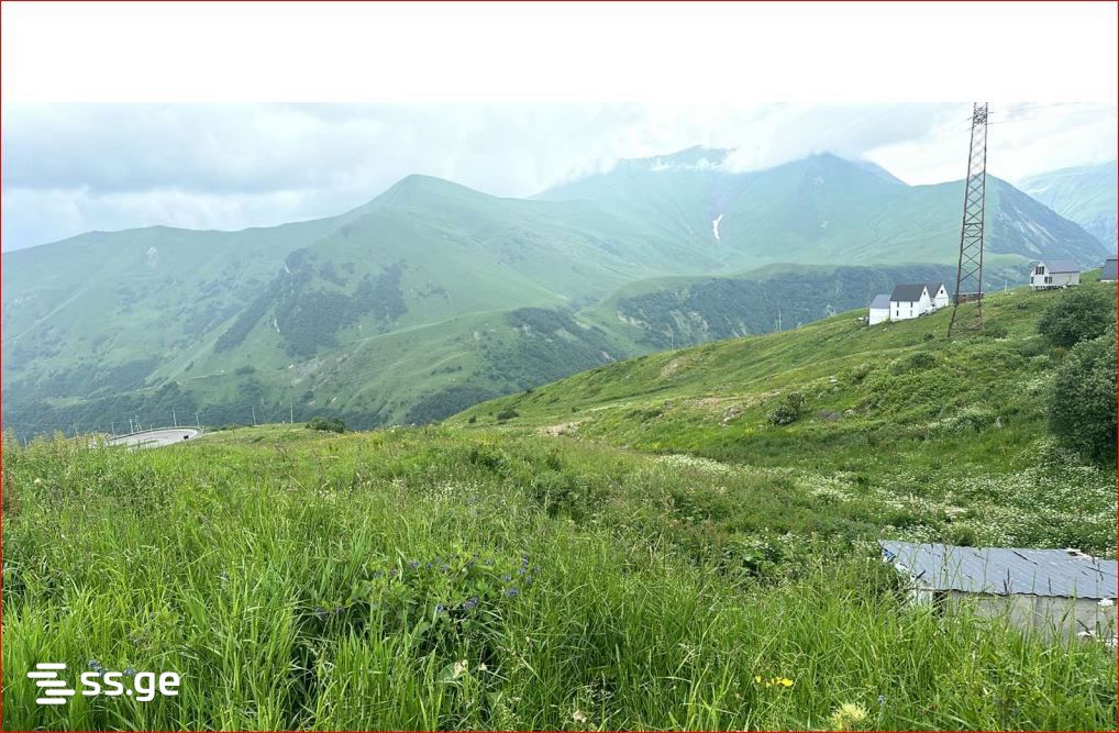Land For Sale. Gudauri, 1 of 4