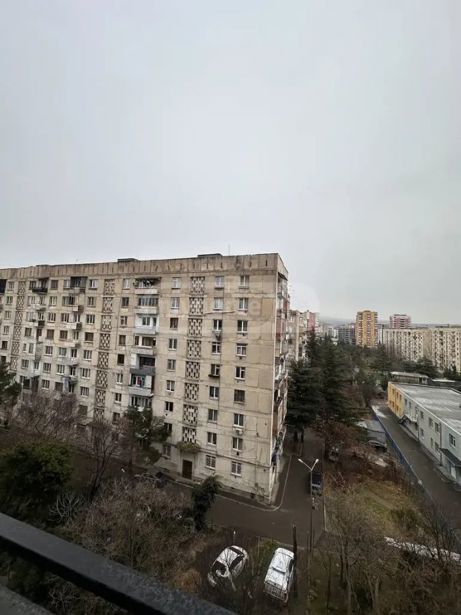 https://static.ss.ge/20260714/13_efea5312-d0c8-45c9-8be8-f06a7e10e390_Thumb.jpg
