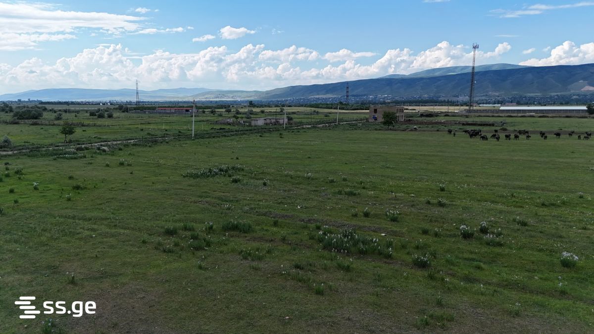 Land For Sale. Tserovani view 9