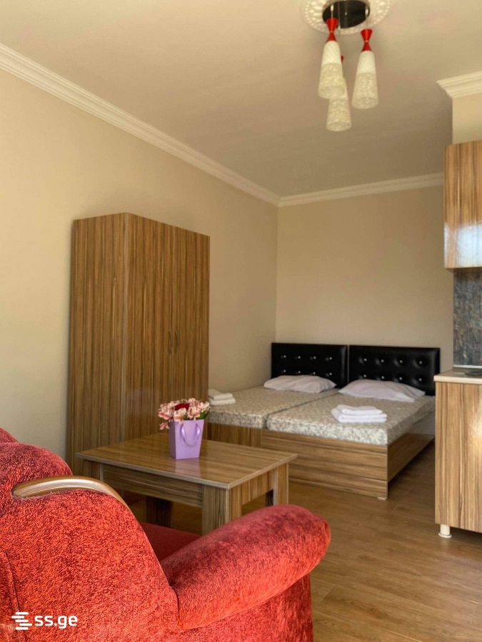 3 Room Private House Daily Rent. Batumi, 2 of 4