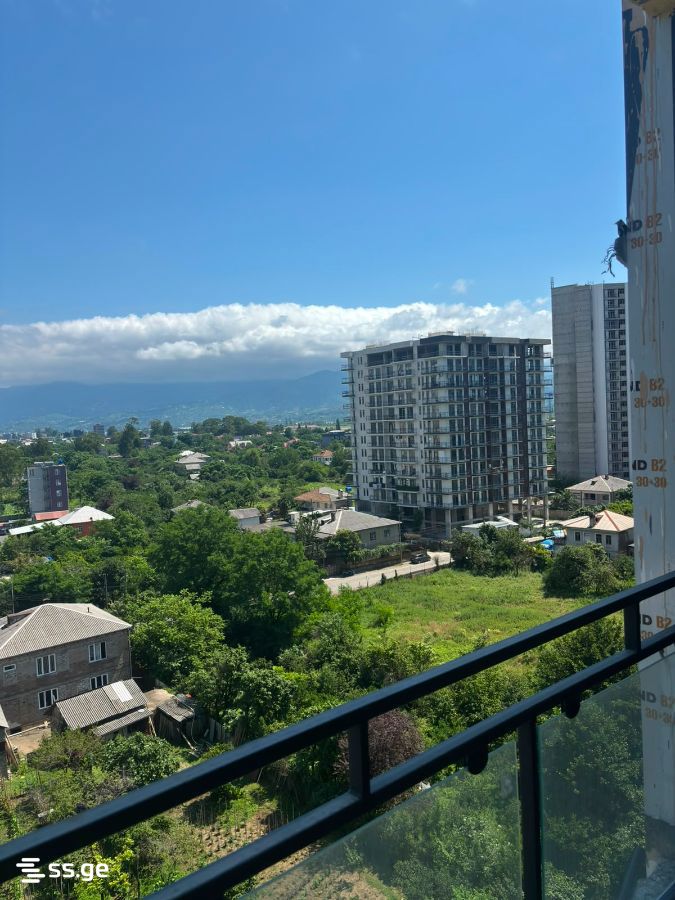 1 room Flat For Sale. Batumi - Widok 4