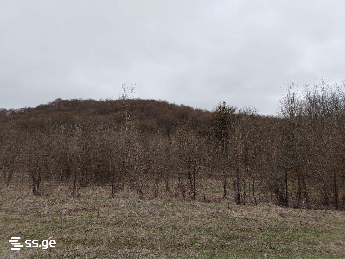 Land For Sale. Mtskheta, 2 of 2