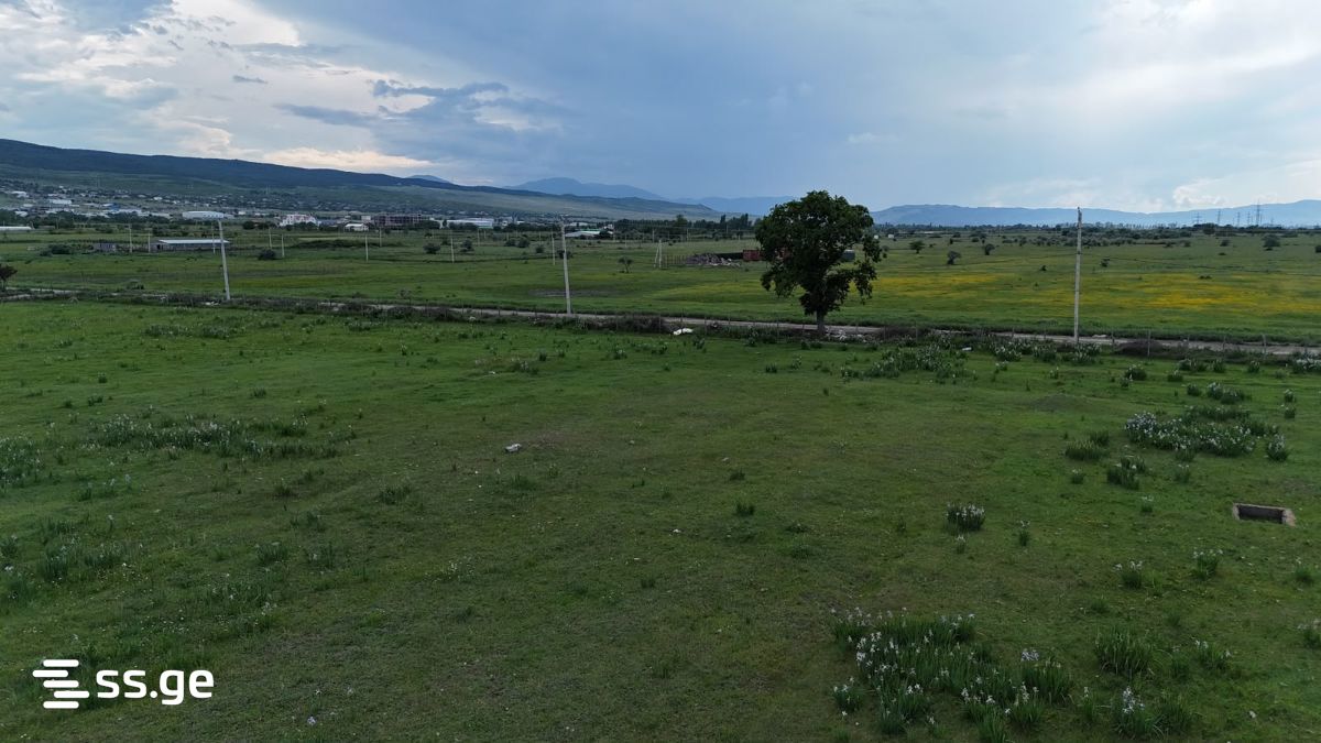 Land For Sale. Tserovani view 13