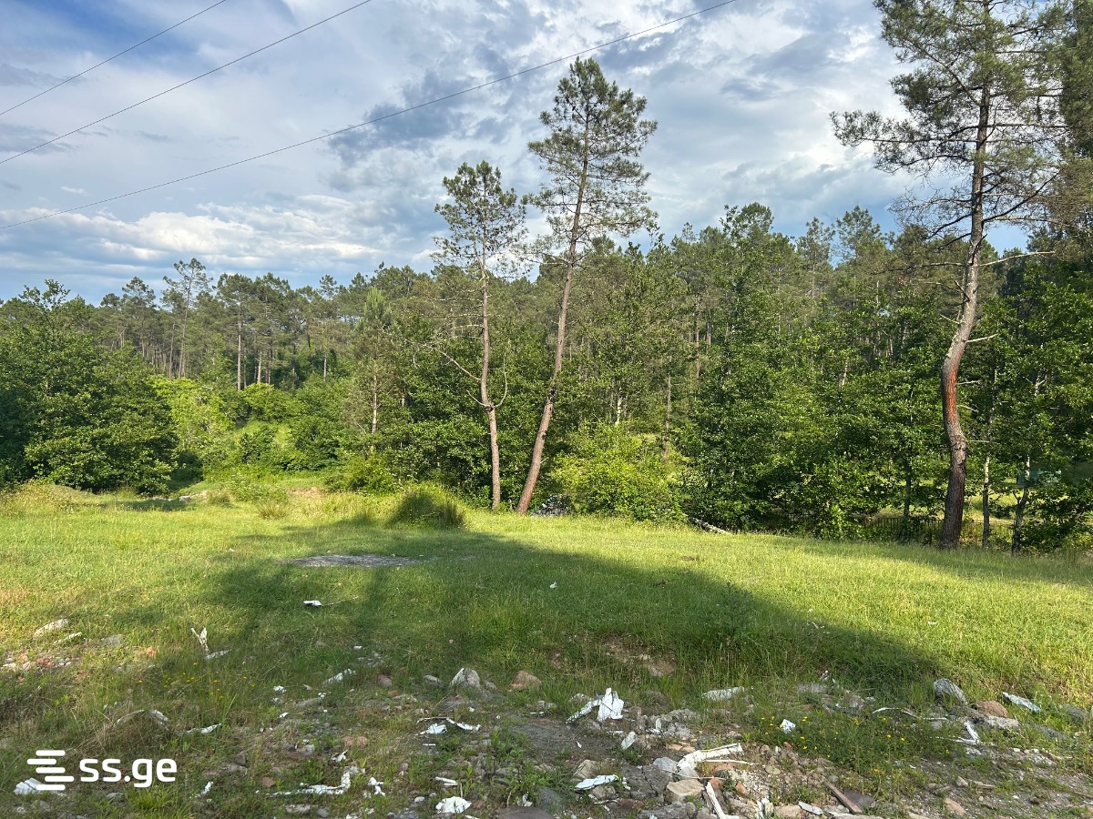 Land For Sale. Kutaisi, 4 of 4