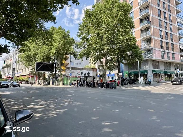 Commercial Space For Rent. Nadzaladevi view 3