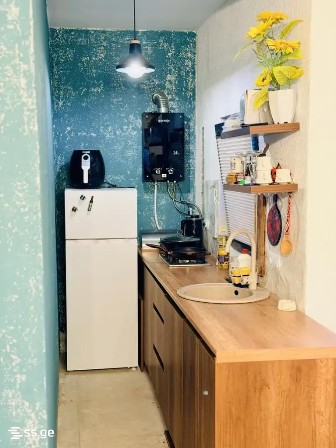 2 Room Private House Daily Rent. Krtsanisi view 6