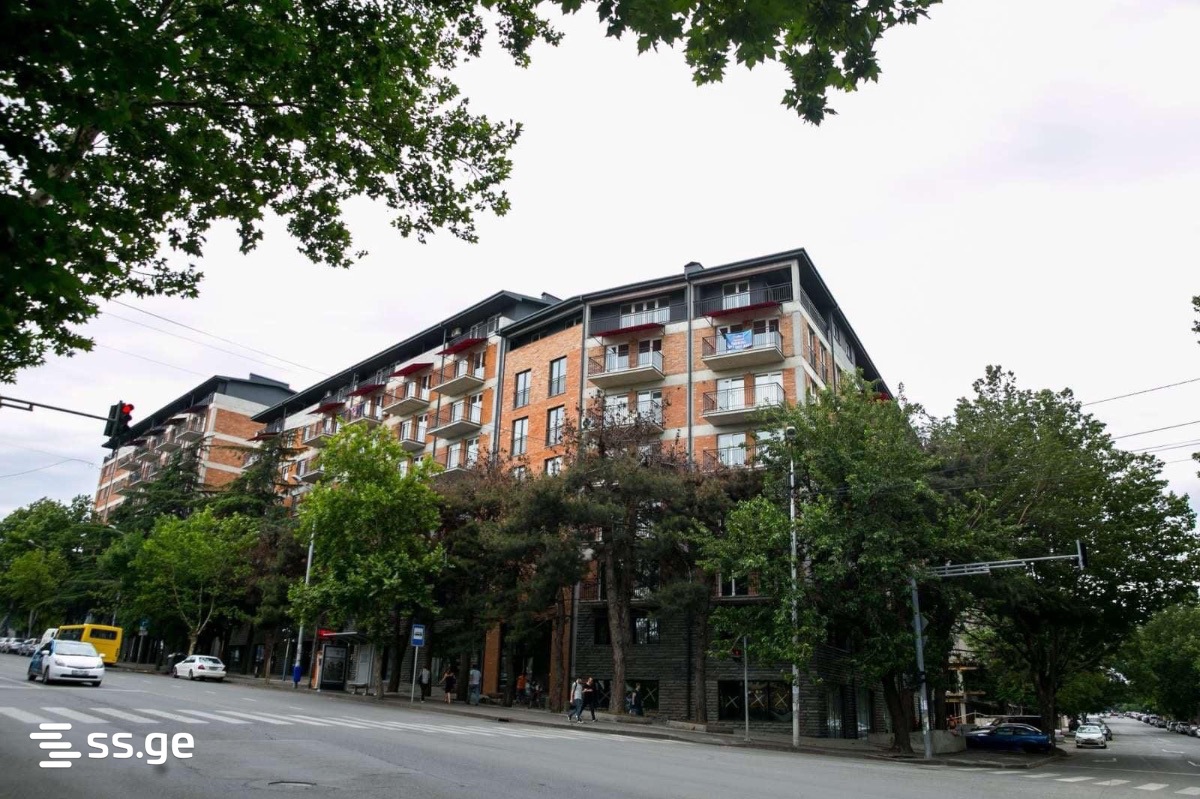 2 Room Flat Daily Rent. Nadzaladevi, 3 of 6