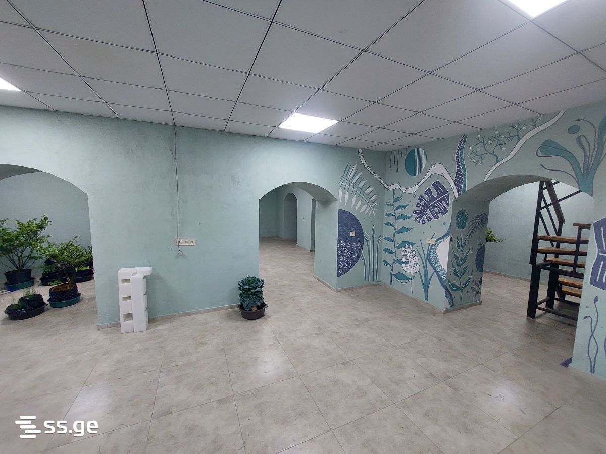 Shopping Property For Rent. Nadzaladevi view 8