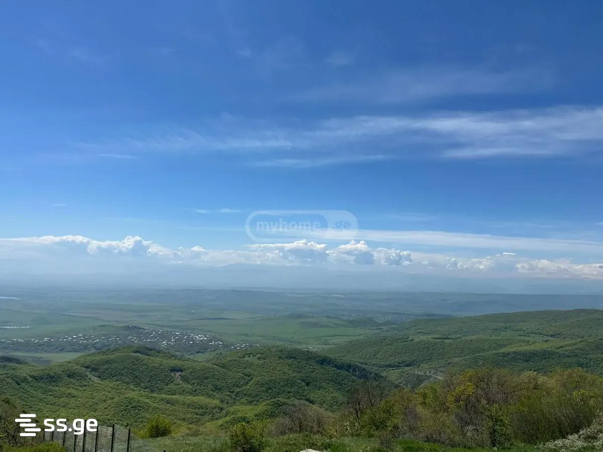 10 Room Private House For Sale view 14