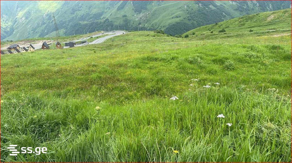 იყიდება მიწა გუდაურიში view 4