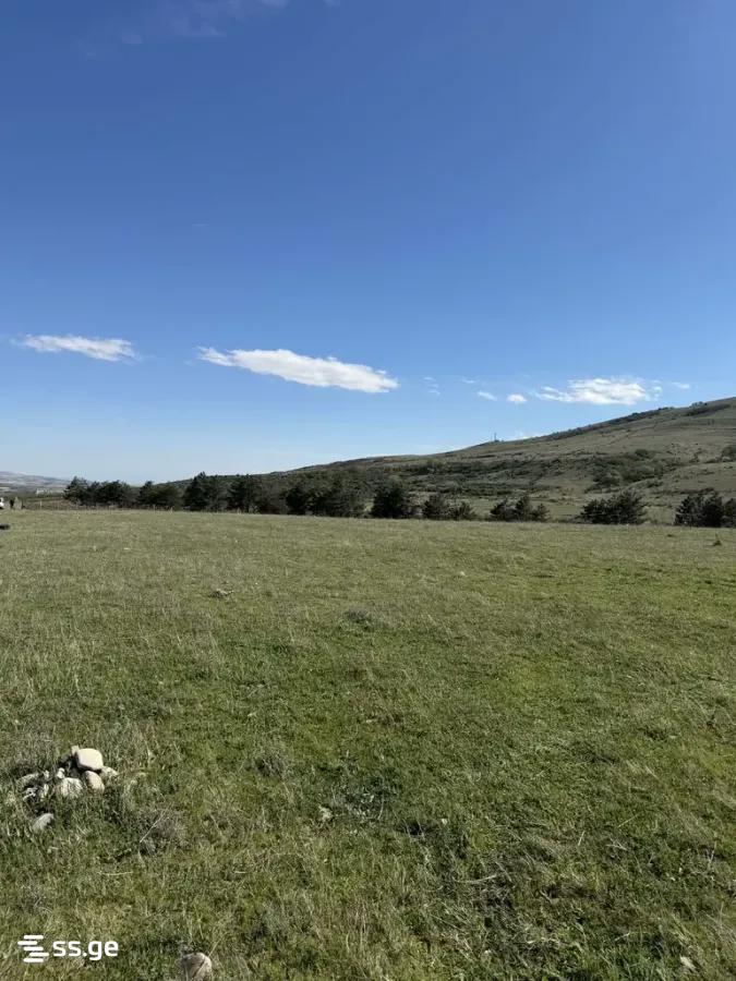 იყიდება მიწა / ნაკვეთი Gardabnis Munitsipalitetshiში view 7