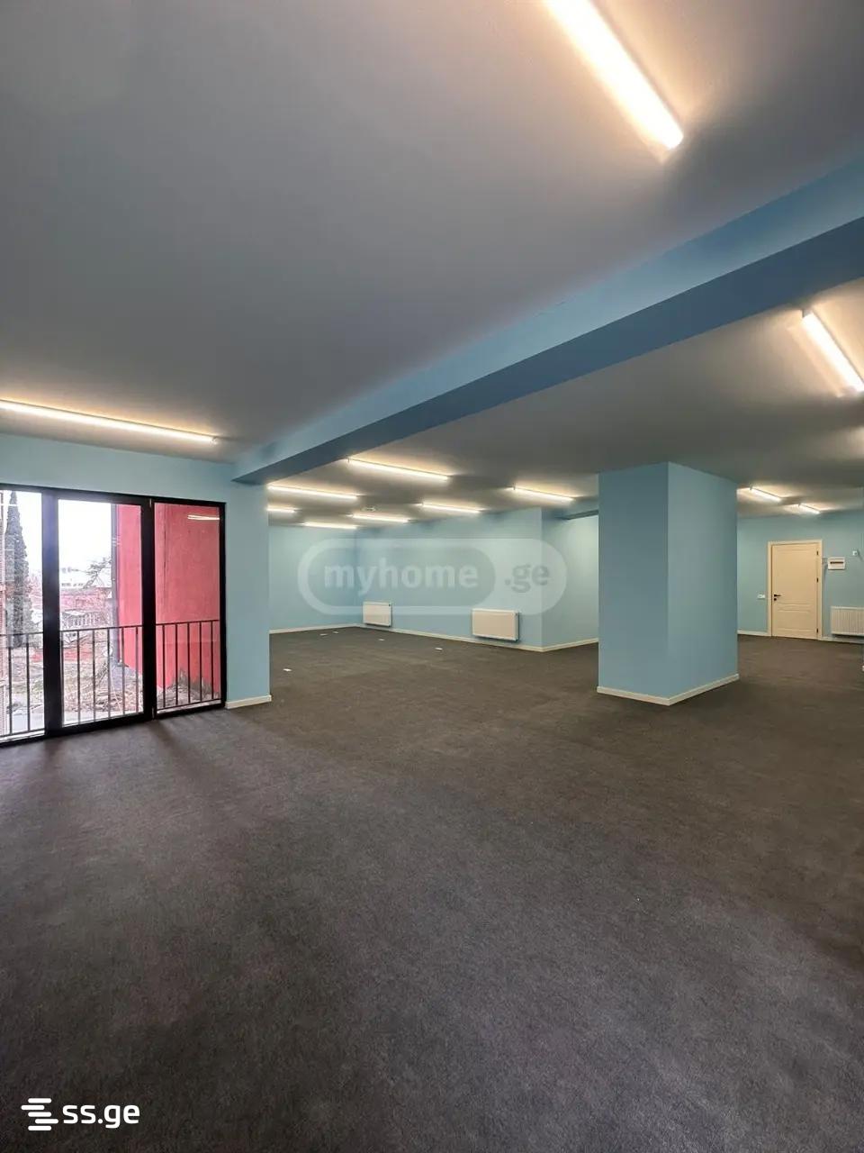 Commercial Space For Rent. Nadzaladevi, 3 of 4