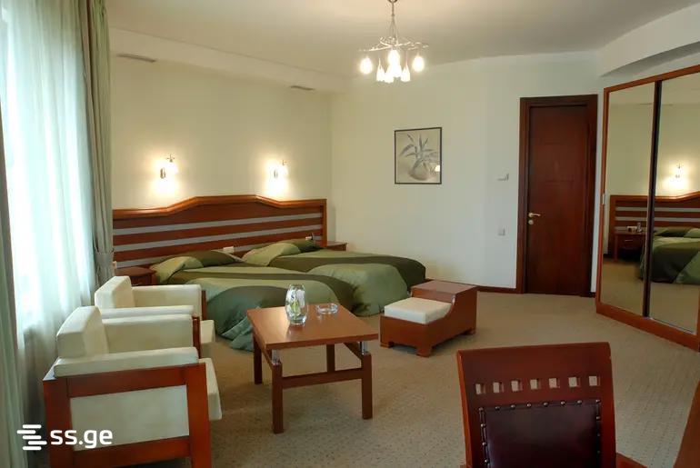 Hotel For Rent. Vedzisi view 5