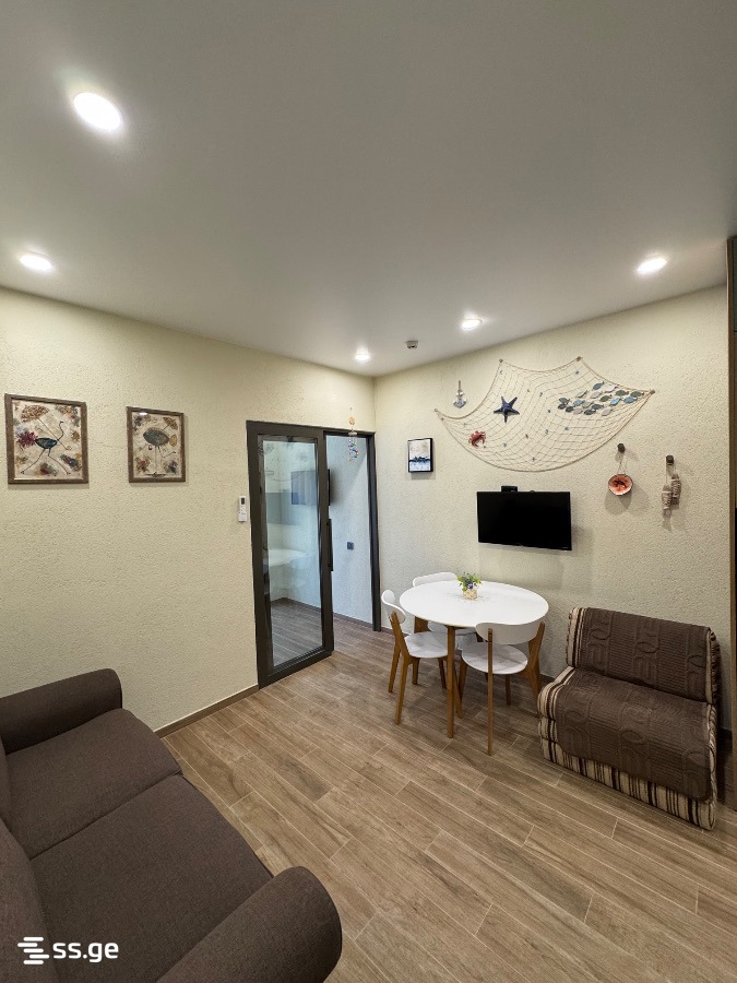 2 Room Flat For Rent. Tsikhisdziri view 12