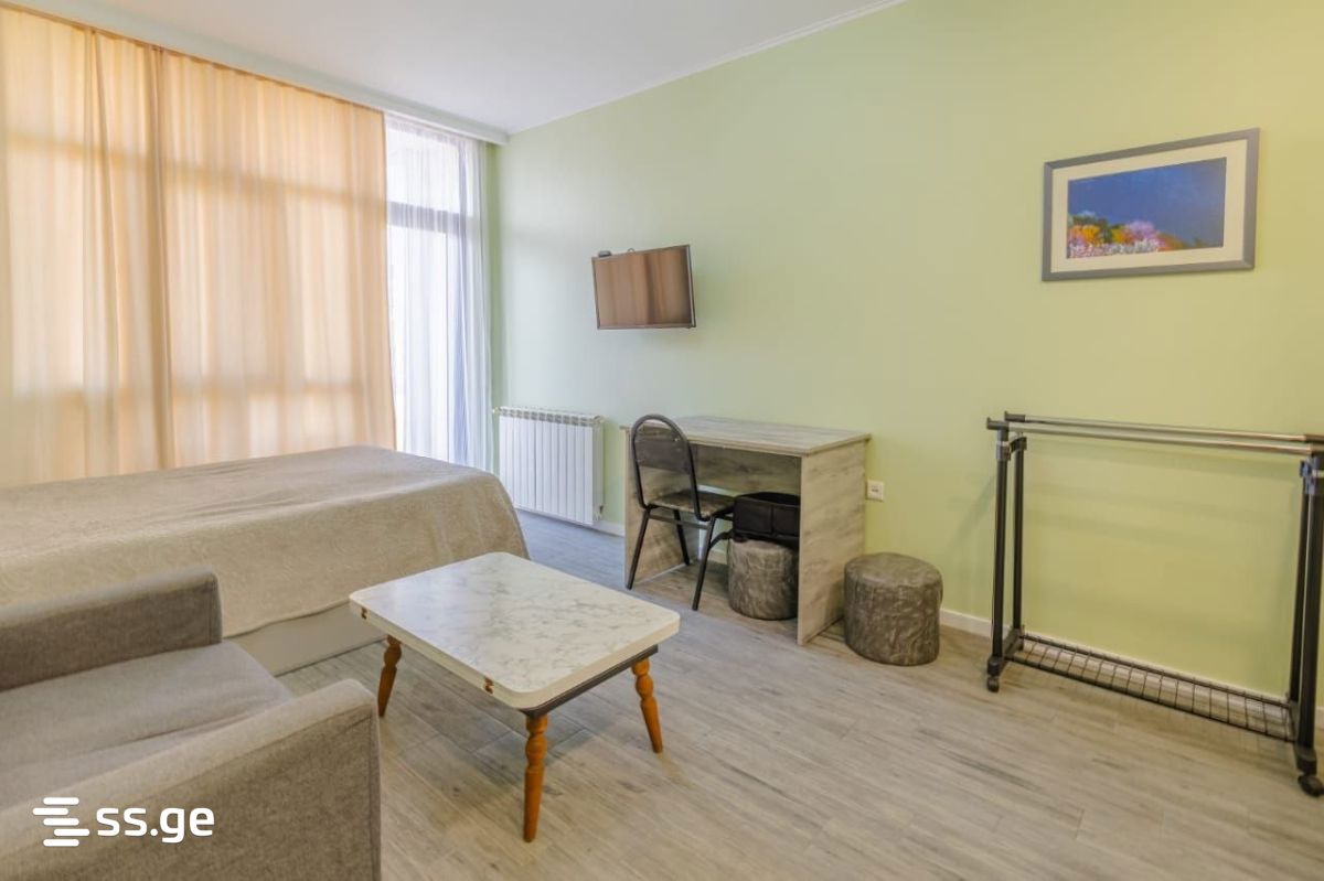 1 Room Flat For Rent. Batumi view 2