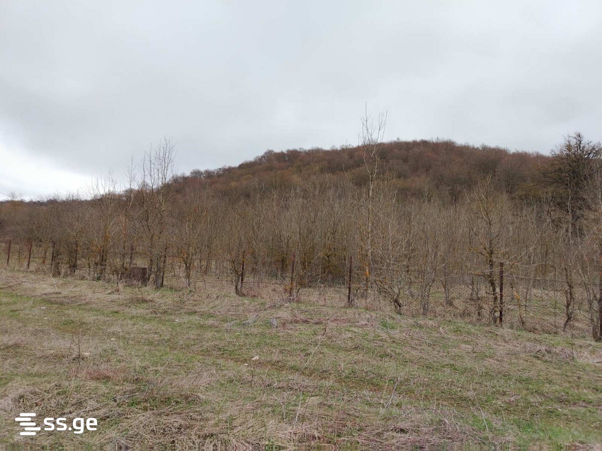 Land For Sale. Mtskheta, 1 of 2