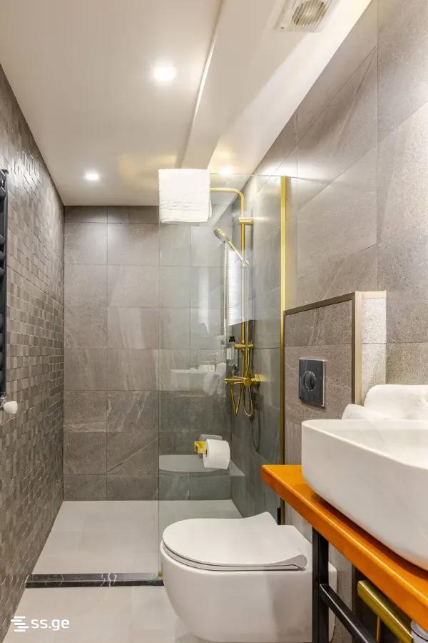 Hotel For Sale. Chugureti view 11