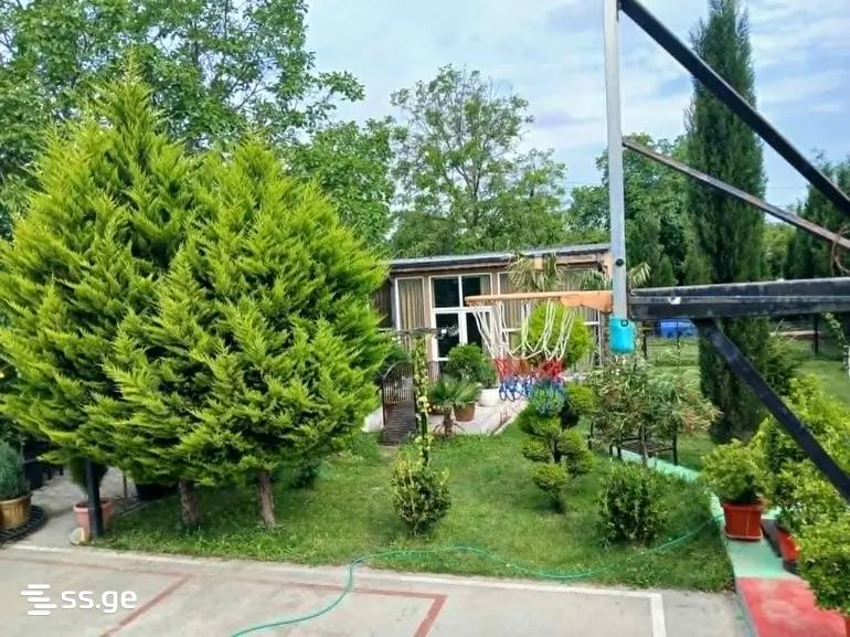 4 Room Private House Daily Rent. Navtlugi view 5