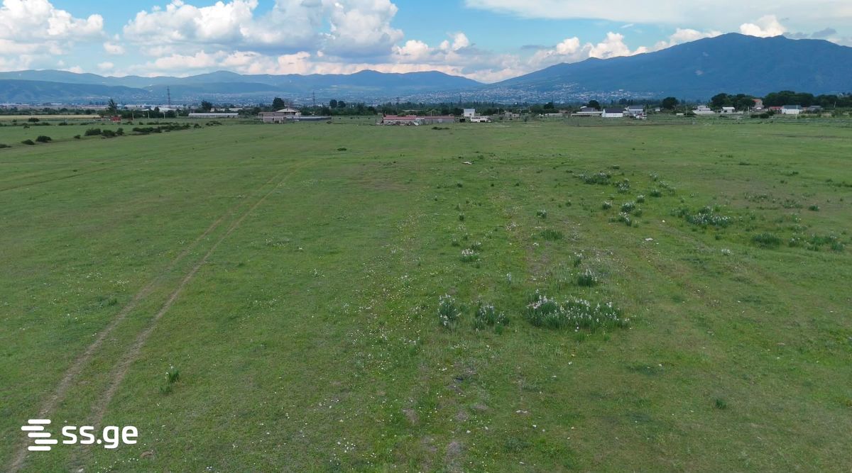 Land For Sale. Tserovani view 8