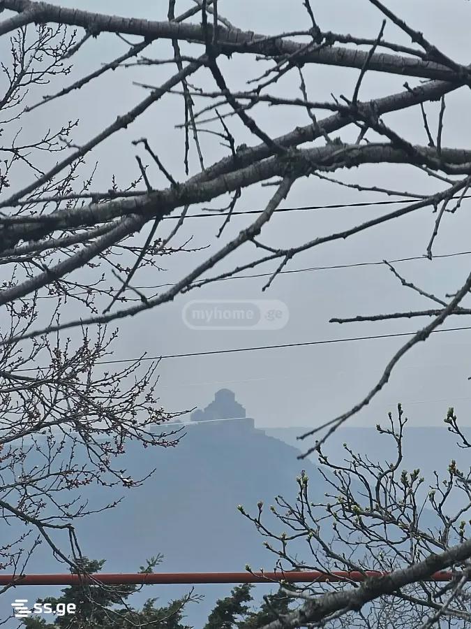 Land For Sale. Mtskheta, 2 of 4
