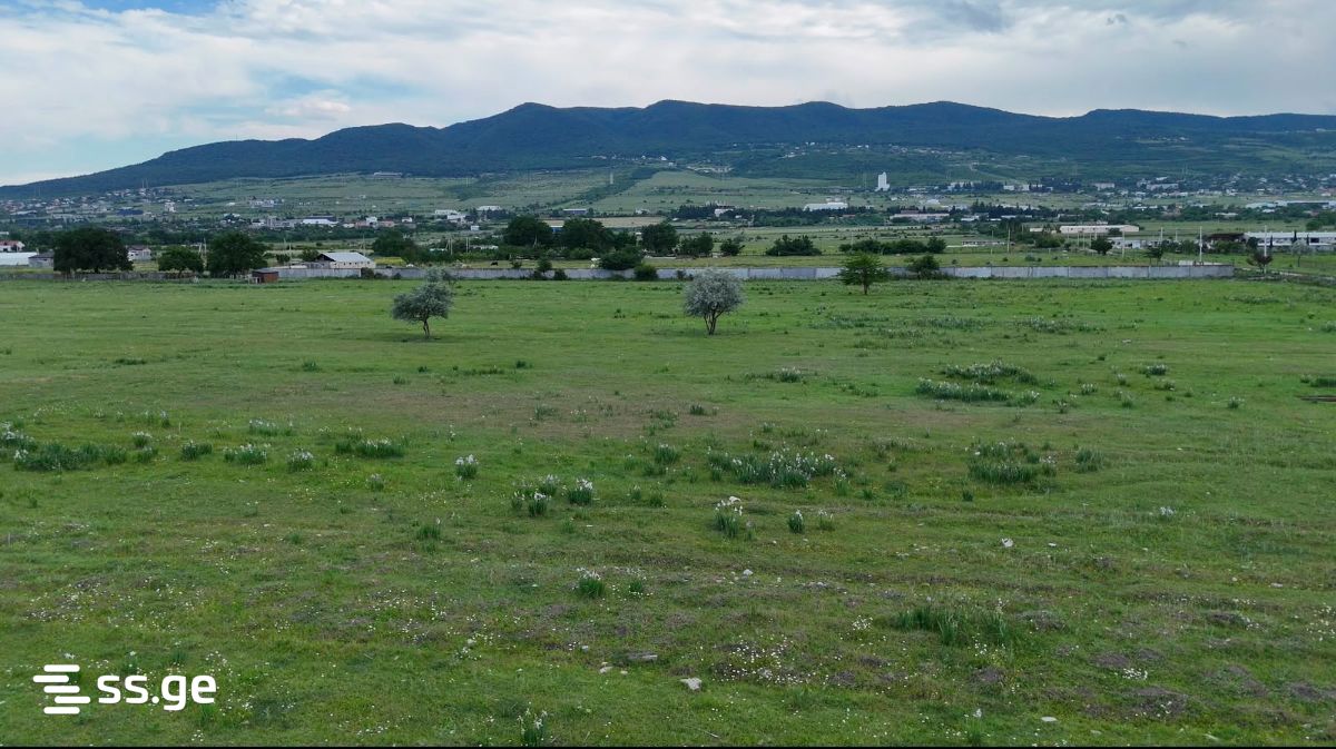 Land For Sale. Tserovani view 11