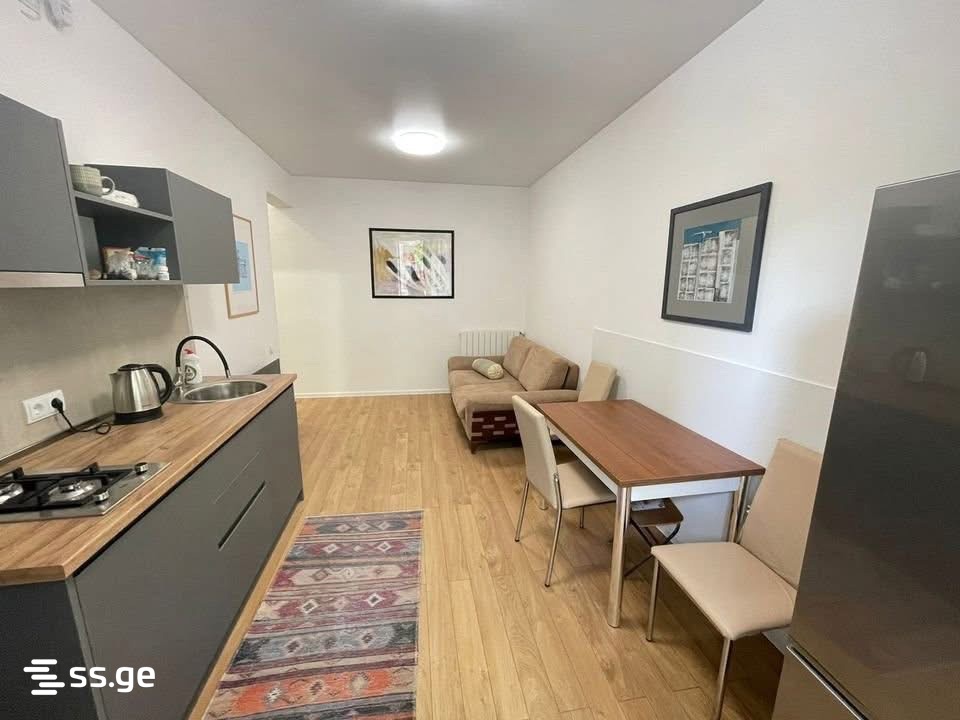 2 room Flat For Rent. Vake – pohled 3