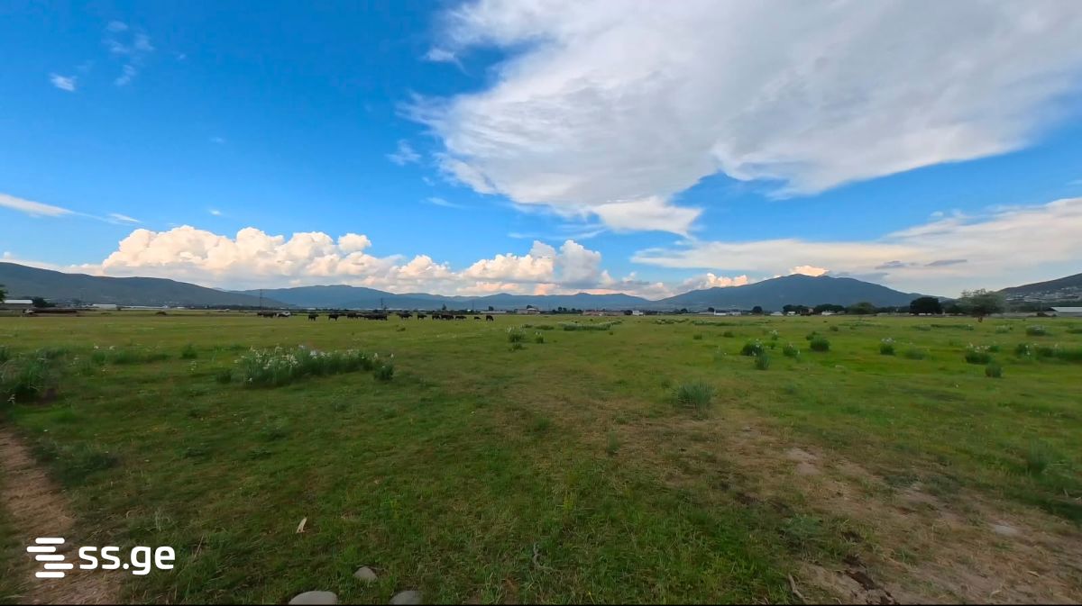 Land For Sale. Tserovani view 2