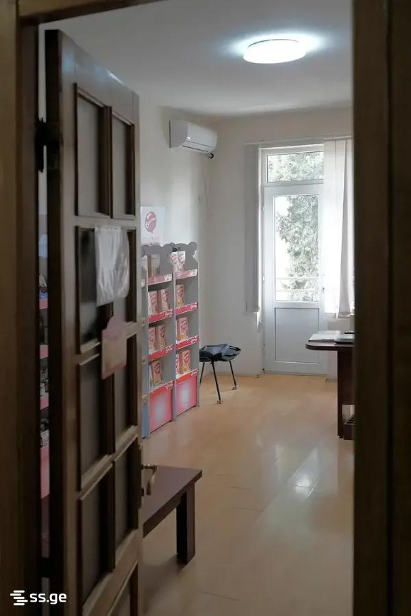 Commercial Space For Rent. Nadzaladevi view 8