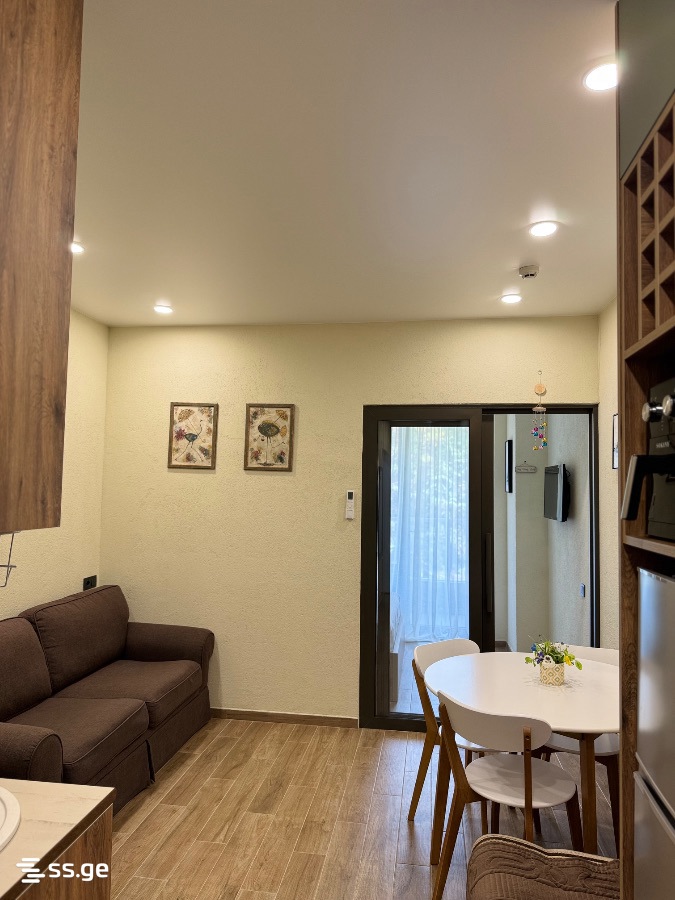 2 Room Flat For Rent. Tsikhisdziri view 9