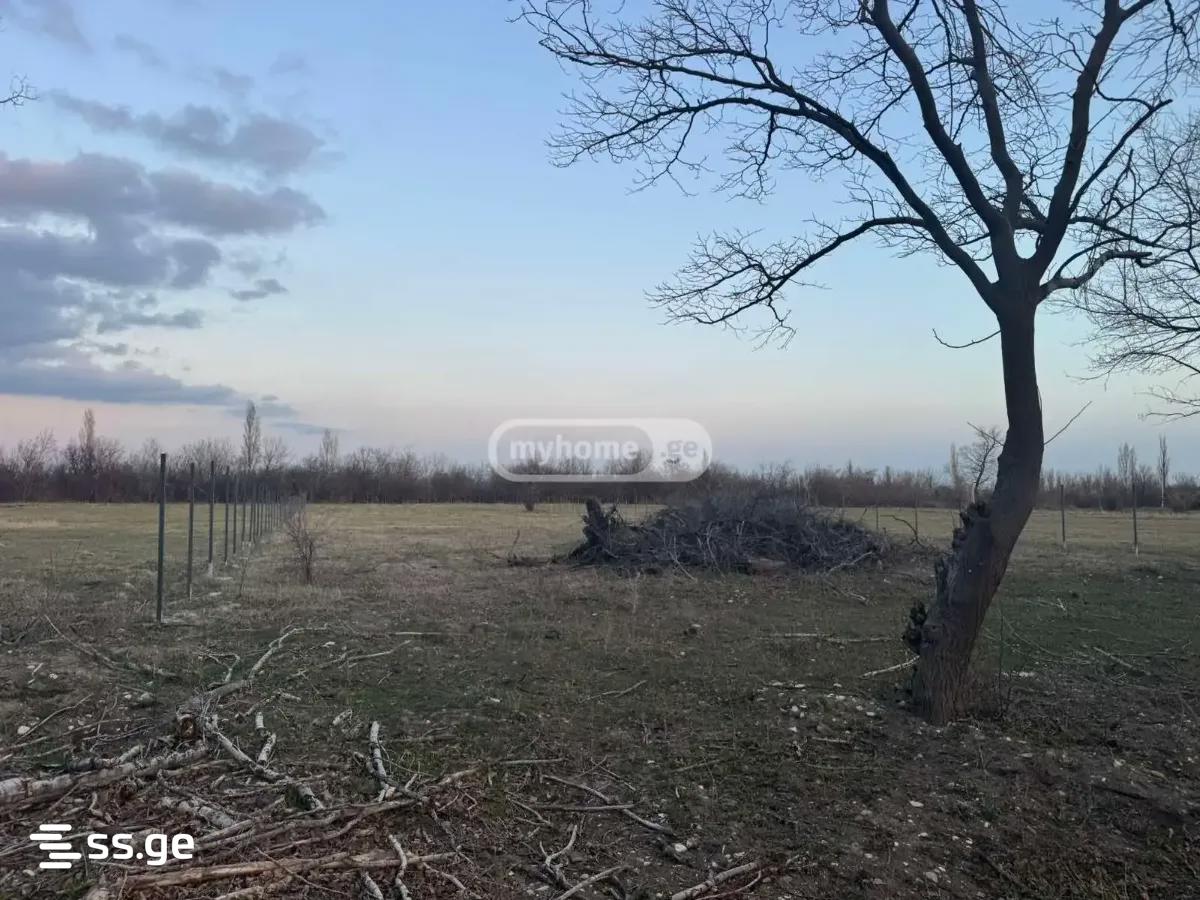 Продажа Земля в гамарджвеба view 2