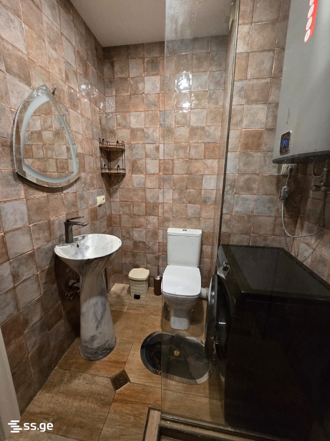 3 Room Flat Daily Rent. Bakuriani, 3 of 11
