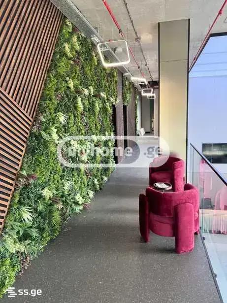 Office For Rent. Avlabari view 8