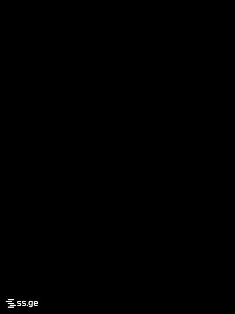 https://static.ss.ge/20260714/4_fde8bc72-d9f5-47ee-ab44-4ac44f13d6bc_Thumb.jpg