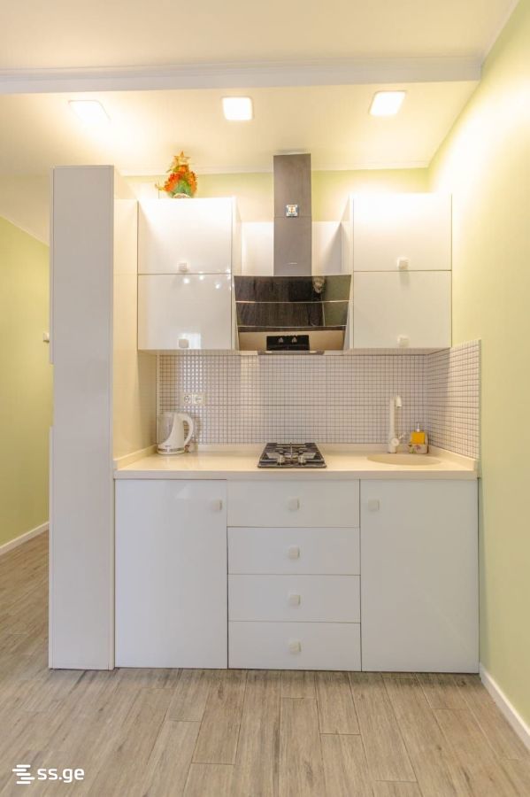 1 Room Flat For Rent. Batumi view 7