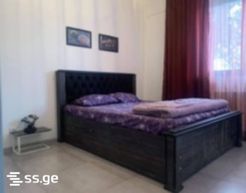 2 Room Flat Daily Rent. Nadzaladevi, 2 of 4