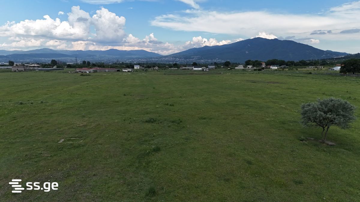 Land For Sale. Tserovani view 6