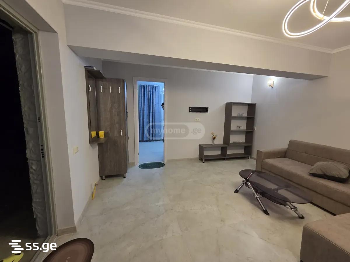 2 Room Private House For Rent. Orkhevi, 2 of 4