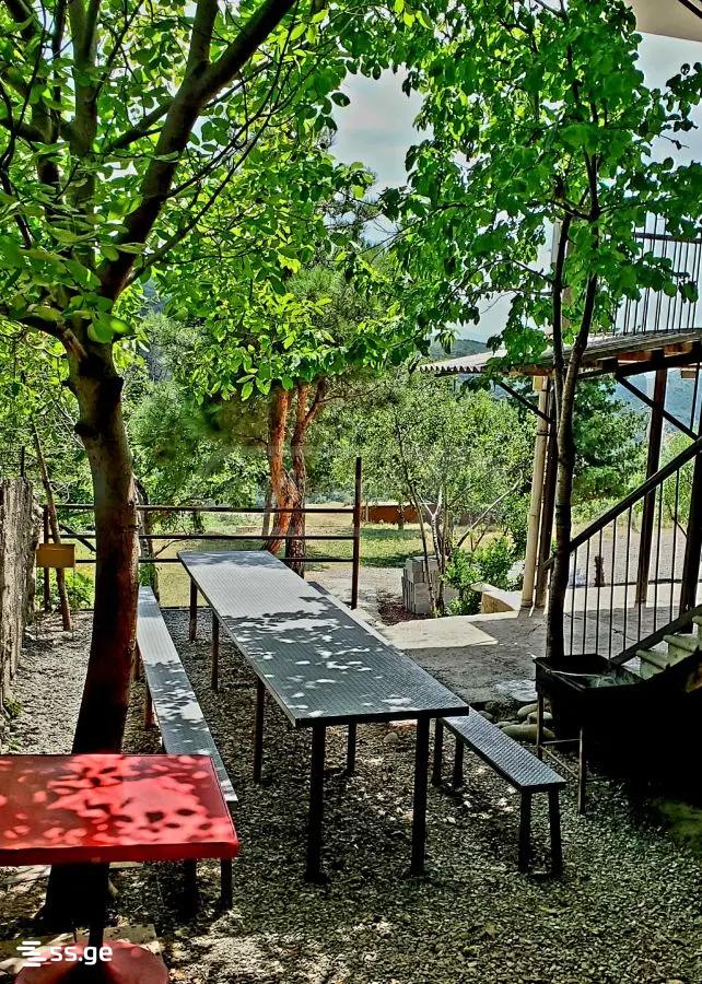 8 Room Private House Daily Rent. Digomi Village view 12