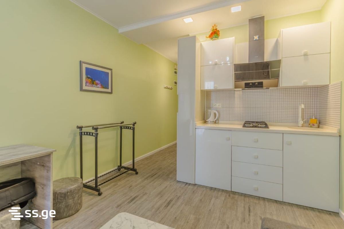 1 Room Flat For Rent. Batumi view 4