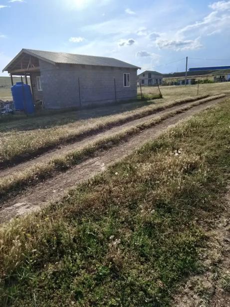 https://static.ss.ge/20260714/6_3953ce60-35fb-442e-93aa-427e57b88833_Thumb.jpg