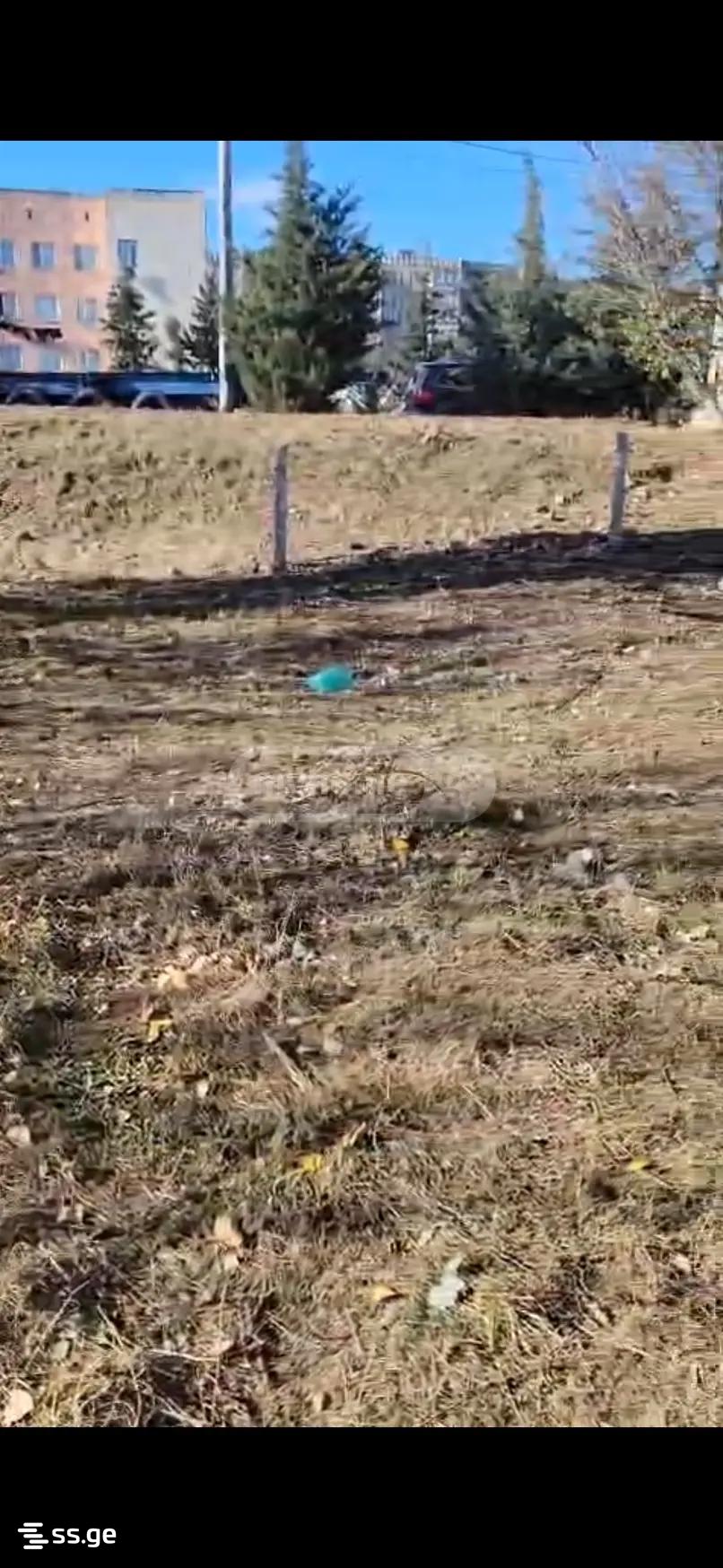 Land For Sale. Varketili, 1 of 4