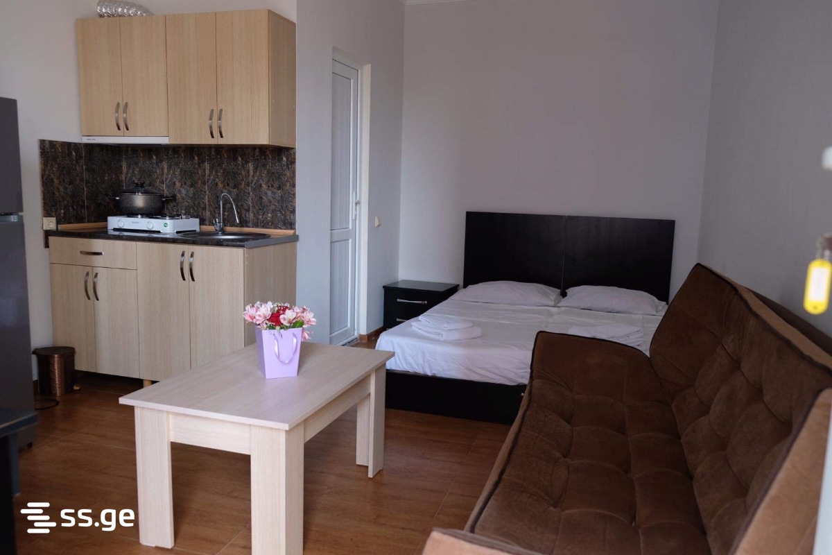 3 Room Private House Daily Rent. Batumi, 3 of 4