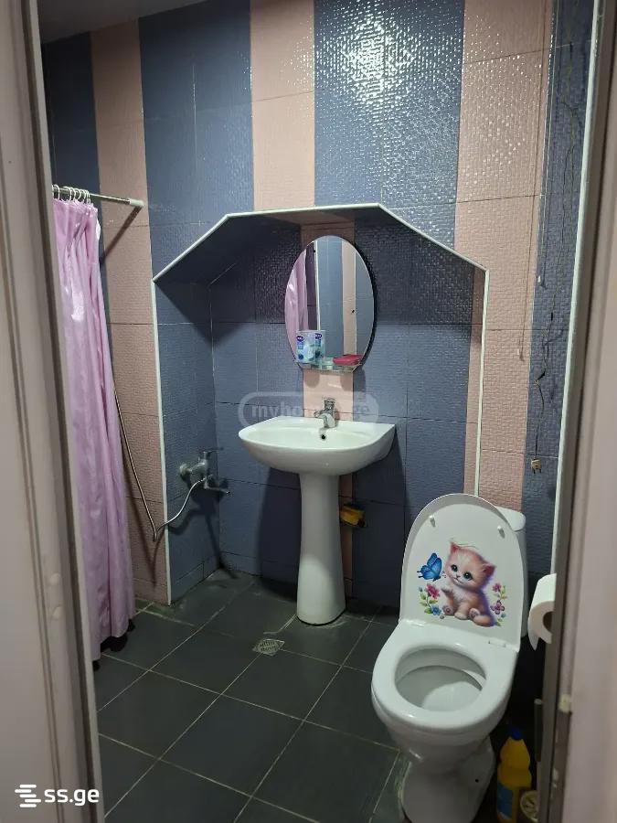 3 Room Flat For Rent. Rustavi view 6